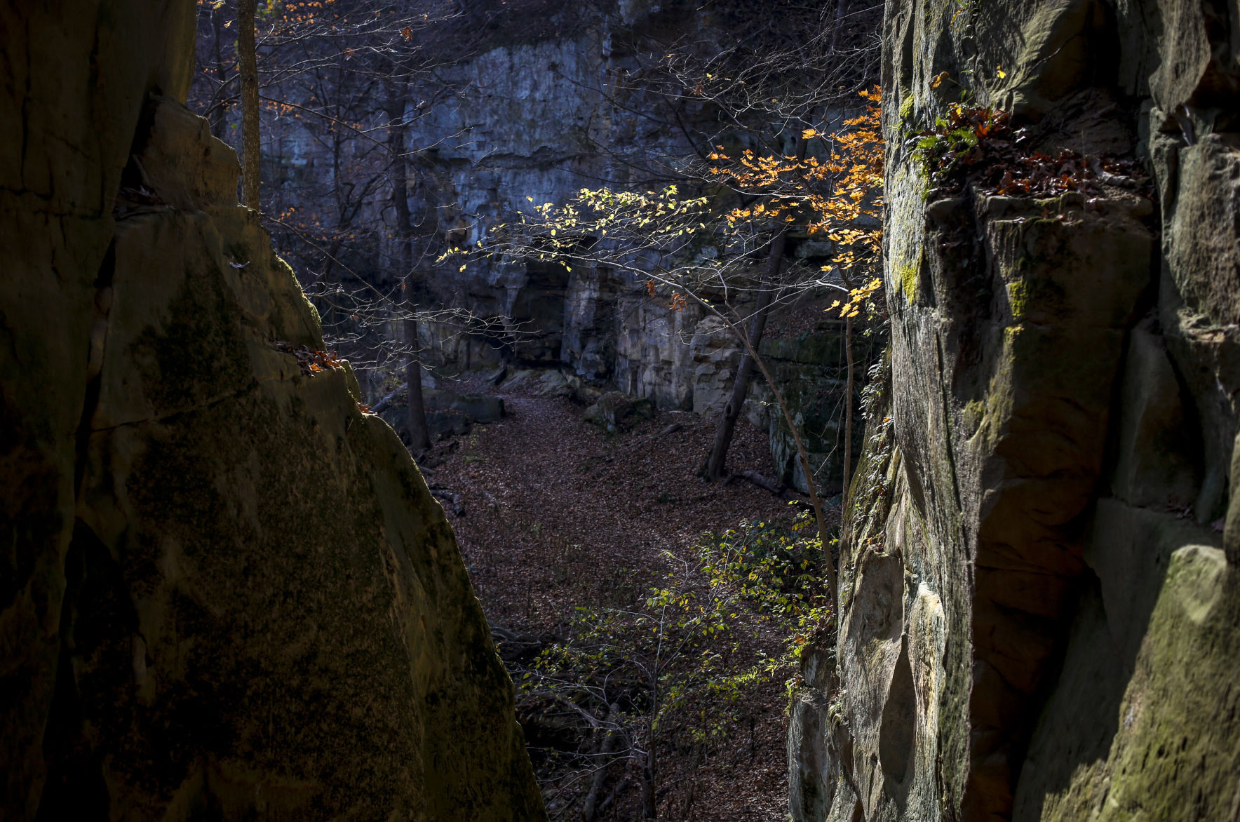 Wildcat Den State Park